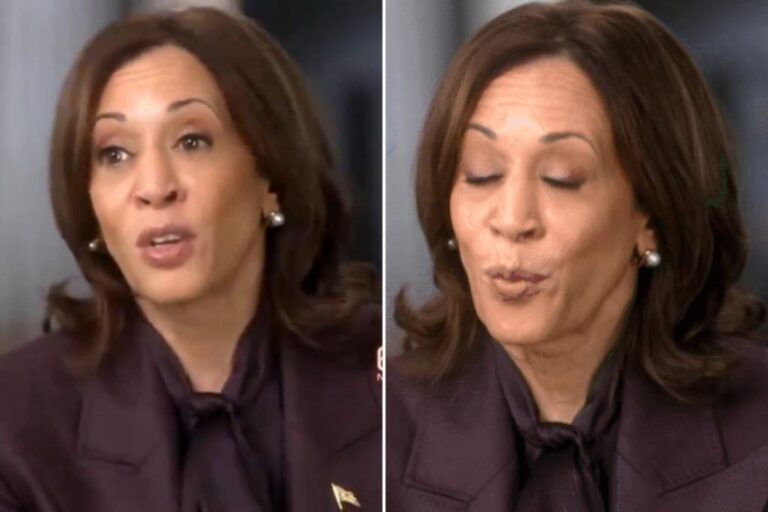 Kamala Harris turns questions on 'historic flood' of immigrants three times, answers economic policy in tense '60 Minutes' interview  

